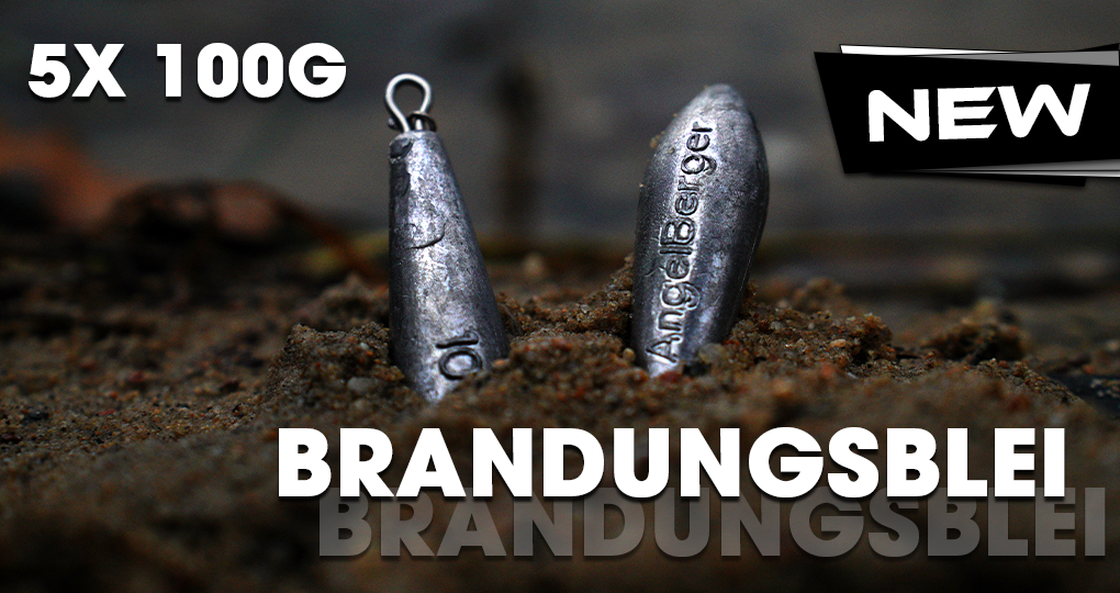 Angel Berger Brandungsblei Set 100g 5 Stück Meeresblei Angelblei Brandungsangeln Blei Meeresangeln Dorschangeln