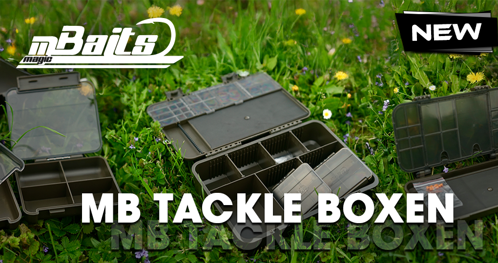 Magic Baits Tackle Boxen large, Rig Wallet, Kleinteilebox, Terminal Tackle Box, Karpfen