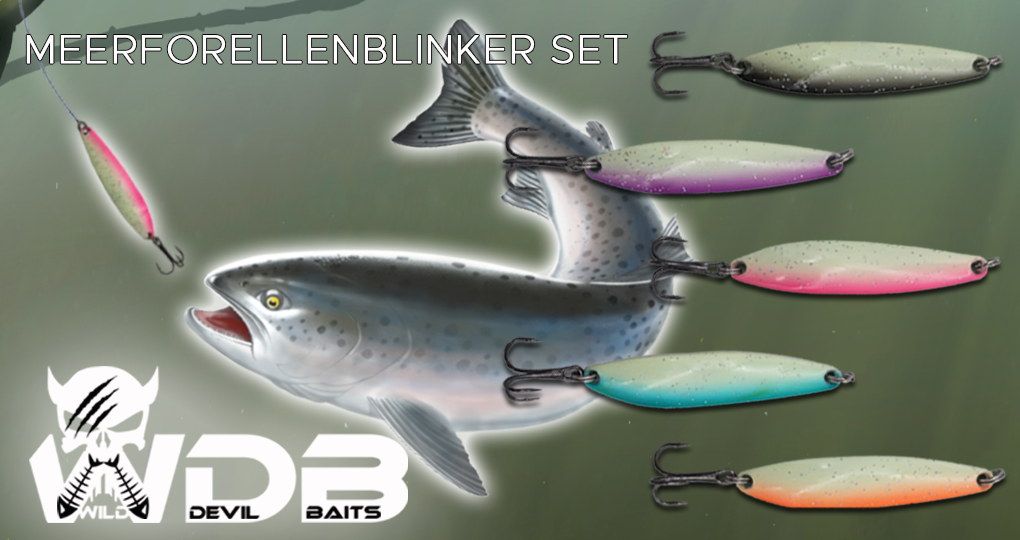  Wild Devil Baits Meerforellenblinker in Box Meerforellenköder Seatrout Lures Spoons