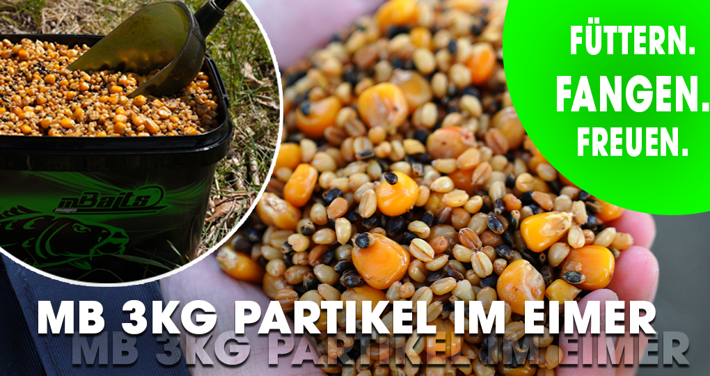 Magic Baits 3kg Ready Particle Mix Scopex im Eimer Carp Seeds Angelfertig Partikel Karpfen Köder Gekochte Körner Karpfenfutter Futtermittel