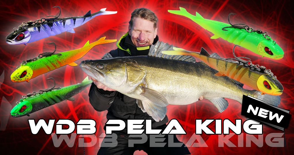 Wild Devil Baits Pela King Pelagic Shad Vertical Kunstköder V-Tail Gummifisch