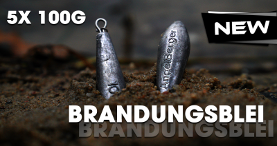 Angel Berger Brandungsblei Set 100g 5 Stück Meeresblei Angelblei Brandungsangeln Blei Meeresangeln Dorschangeln
