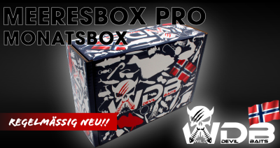 Wild Devil Baits Pro Meeres Monatsbox Angelköder Meeresangeln Promo Lure Box Norwegen Geschenk Meeresangler Geschenkideen