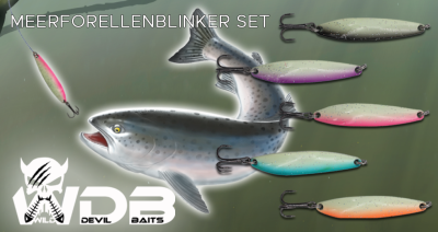  Wild Devil Baits Meerforellenblinker in Box Meerforellenköder Seatrout Lures Spoons