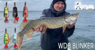  Wild Devil Baits Blinker Roach Raubfisch Köder Spoon Löffelblinker Kunstköder Angelköder