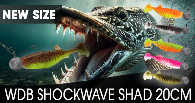 Wild Devil Baits Shockwave Shad 20cm Gummifisch Kunstköder Softlure Gummiköder Hecht Wels Dorsch Heilbutt Meeresköder Raubfischköder Angelköder