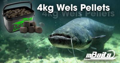  Magic Baits 4 Kg Wels Pellets mit Eimer Catfish Pellets Giant Halibut Pellet Wallerpellets Welsköder