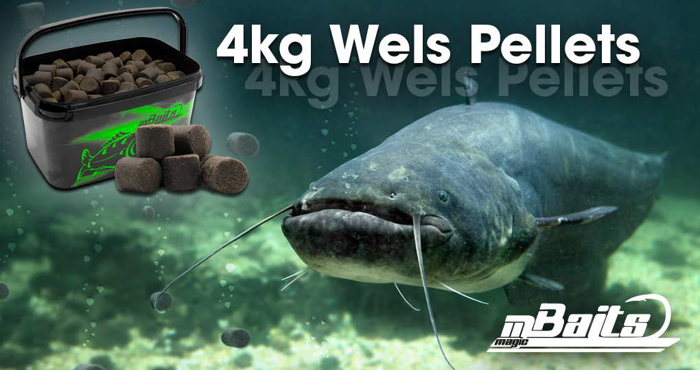  Magic Baits 4 Kg Wels Pellets mit Eimer Catfish Pellets Giant Halibut Pellet Wallerpellets Welsköder