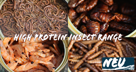 High Protein Insect Pellet